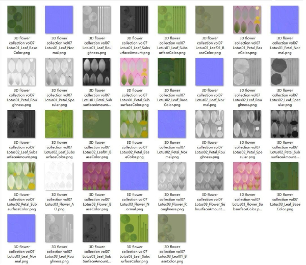Lotus Collection vol07