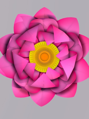 lotus-flower-3d-model-3d-model-animated-obj-3ds-c4d