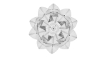 Lotus Flower 3D Model
