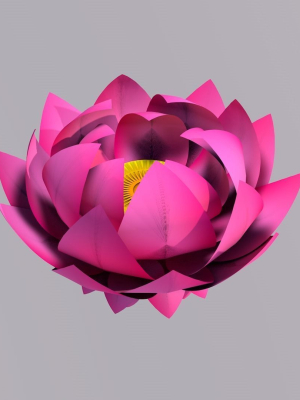 Lotus Flower 3D Model