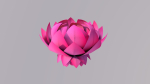 Lotus Flower 3D Model