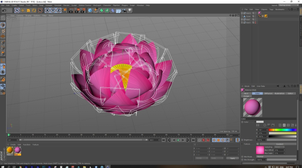 Lotus Flower 3D Model