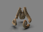 Lovecraft Tentacles Creature Holder