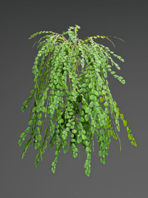low-poly-3d-hanging-plants-collection-3d-model-21e73f8616