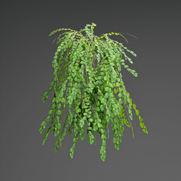 low poly 3d hanging plants collection