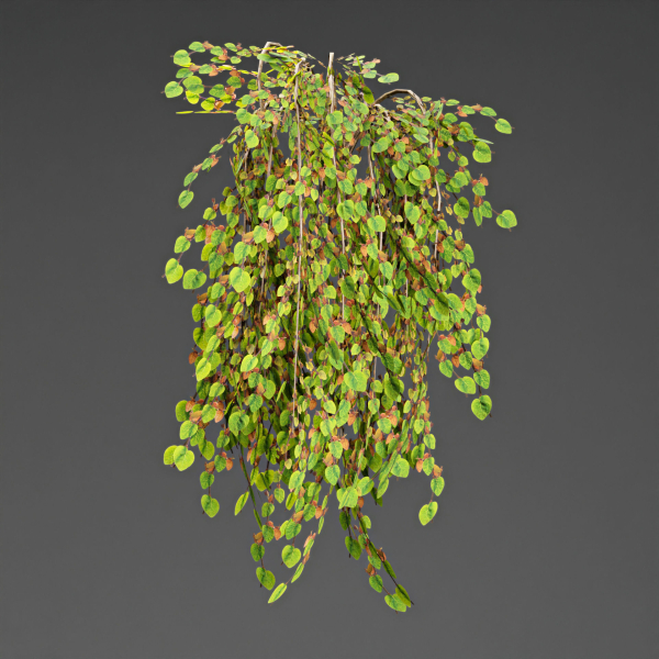 low poly 3d hanging plants collection