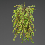 low poly 3d hanging plants collection