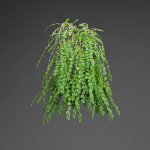 low poly 3d hanging plants collection