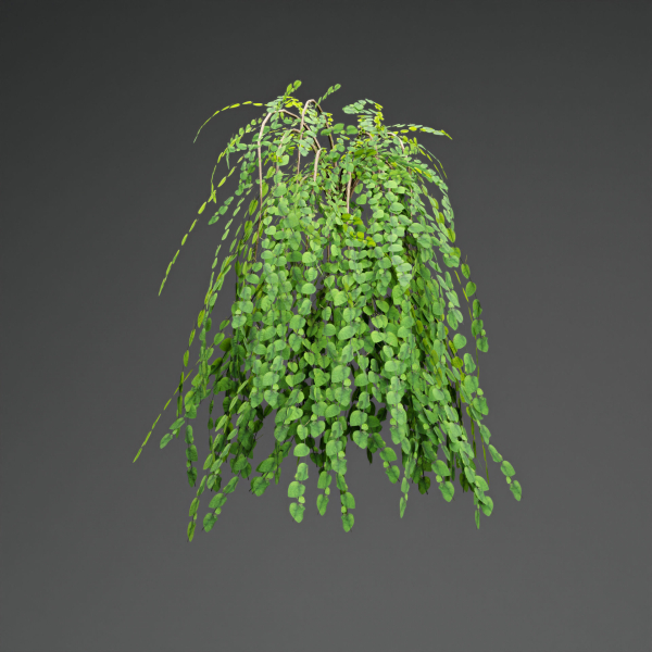 low poly 3d hanging plants collection