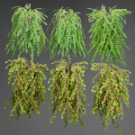 low poly 3d hanging plants collection