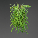 low poly 3d hanging plants collection