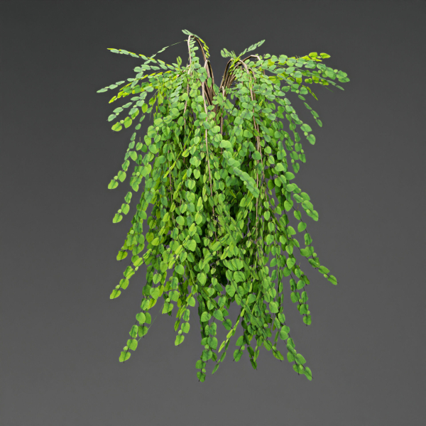 low poly 3d hanging plants collection