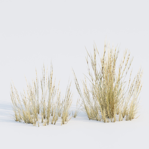 Low poly 3d wild dry grass collection vol 278