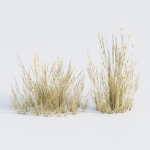 Low poly 3d wild dry grass collection vol 278