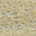 Low poly 3d wild dry grass collection vol 278