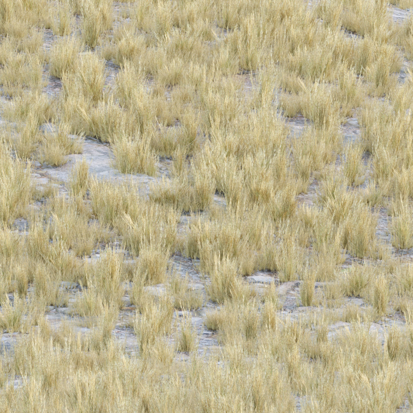 Low poly 3d wild dry grass collection vol 278