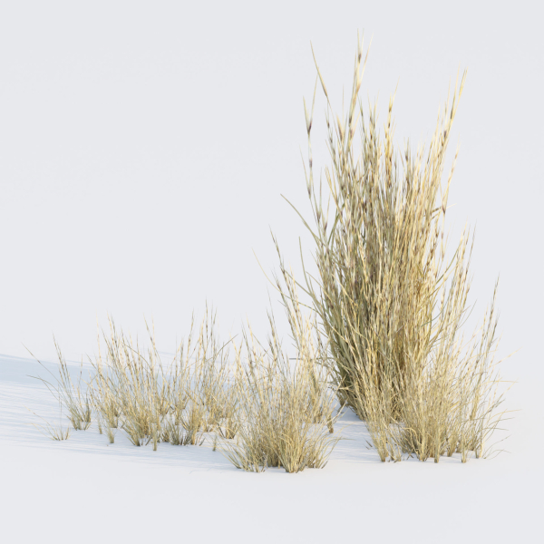 Low poly 3d wild dry grass collection vol 278