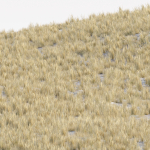 Low poly 3d wild dry grass collection vol 278