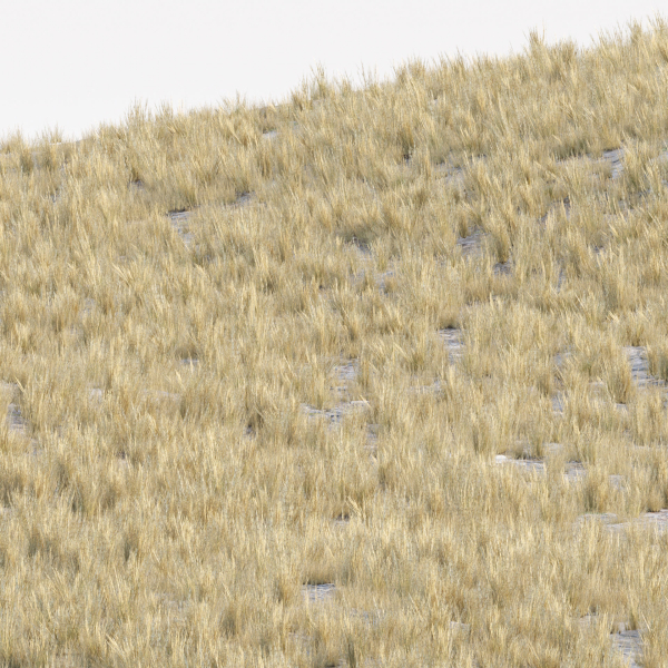 Low poly 3d wild dry grass collection vol 278