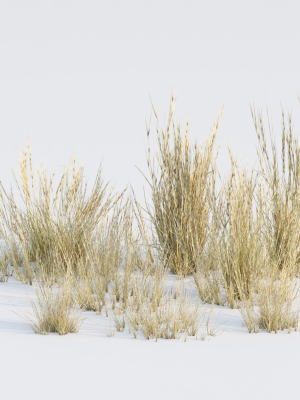 Low poly 3d wild dry grass collection vol 278