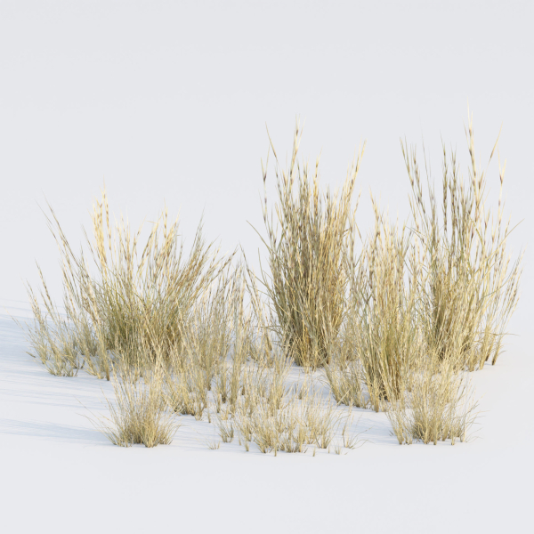 Low poly 3d wild dry grass collection vol 278