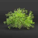 Low poly bushes collection vol 30