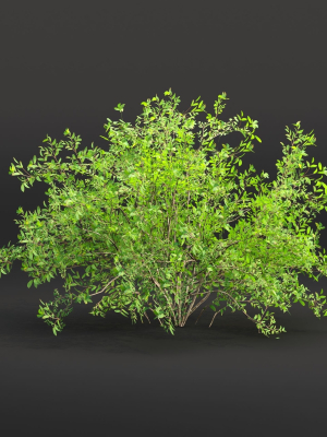 low-poly-bushes-collection-vol-30-3d-model-3b78bce8f2