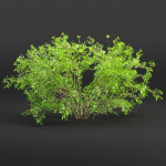Low poly bushes collection vol 30