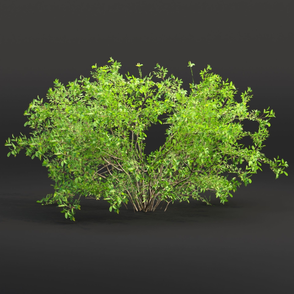 Low poly bushes collection vol 30