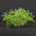 Low poly bushes collection vol 30