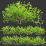 Low poly bushes collection vol 30