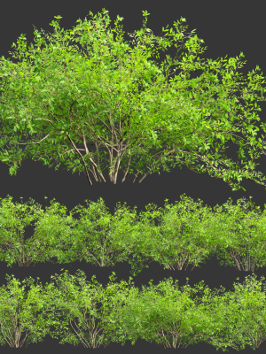 Low poly bushes collection vol 30