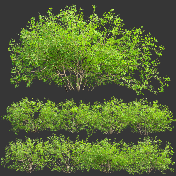 Low poly bushes collection vol 30