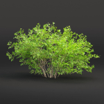 Low poly bushes collection vol 30
