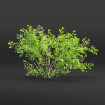 Low poly bushes collection vol 30