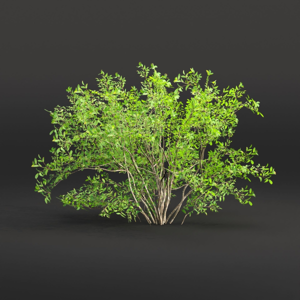 Low poly bushes collection vol 30