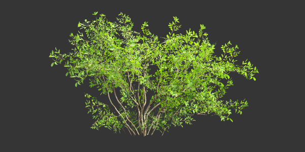 Low poly bushes collection vol 30-Blender