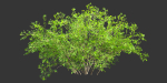 Low poly bushes collection vol 30-Blender