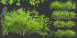 Low poly bushes collection vol 30-Blender