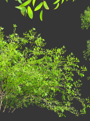 Low poly bushes collection vol 30-Blender