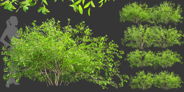 Low poly bushes collection vol 30-Blender