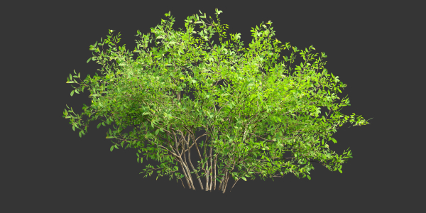 Low poly bushes collection vol 30-Blender
