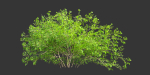 Low poly bushes collection vol 30-Blender