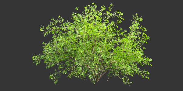 Low poly bushes collection vol 30-Blender