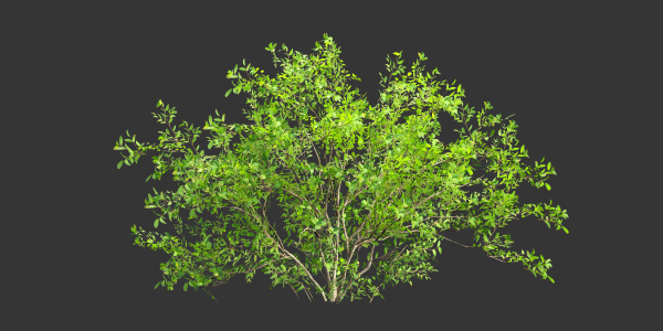 Low poly bushes collection vol 30-Blender