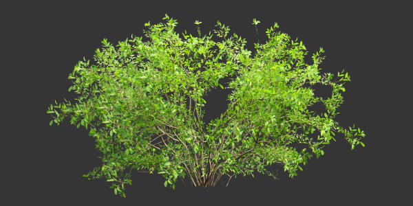 Low poly bushes collection vol 30-Blender