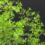 Low poly bushes collection vol 30-Blender