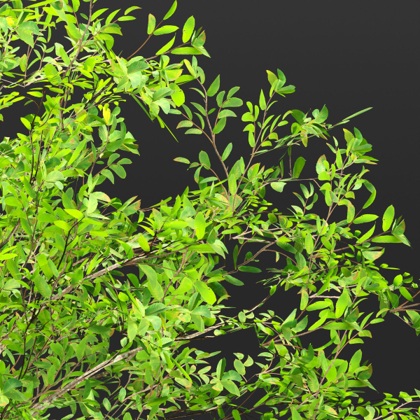 Low poly bushes collection vol 30-Blender