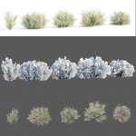 Low Poly Desert Cotton Grass collection vol 212