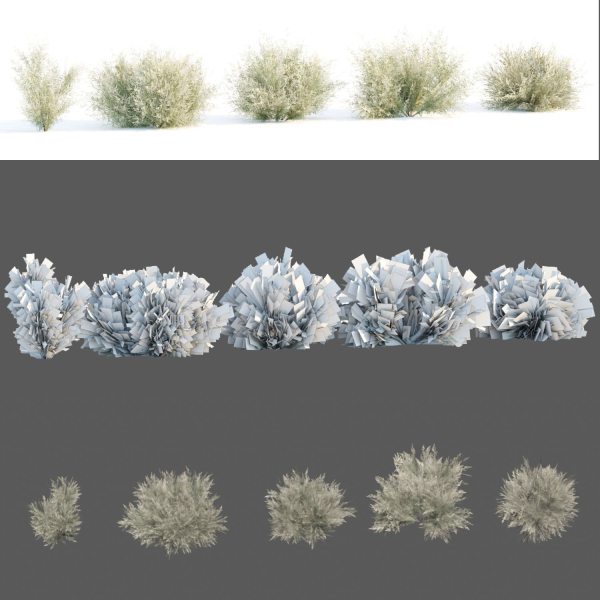 Low Poly Desert Cotton Grass collection vol 212